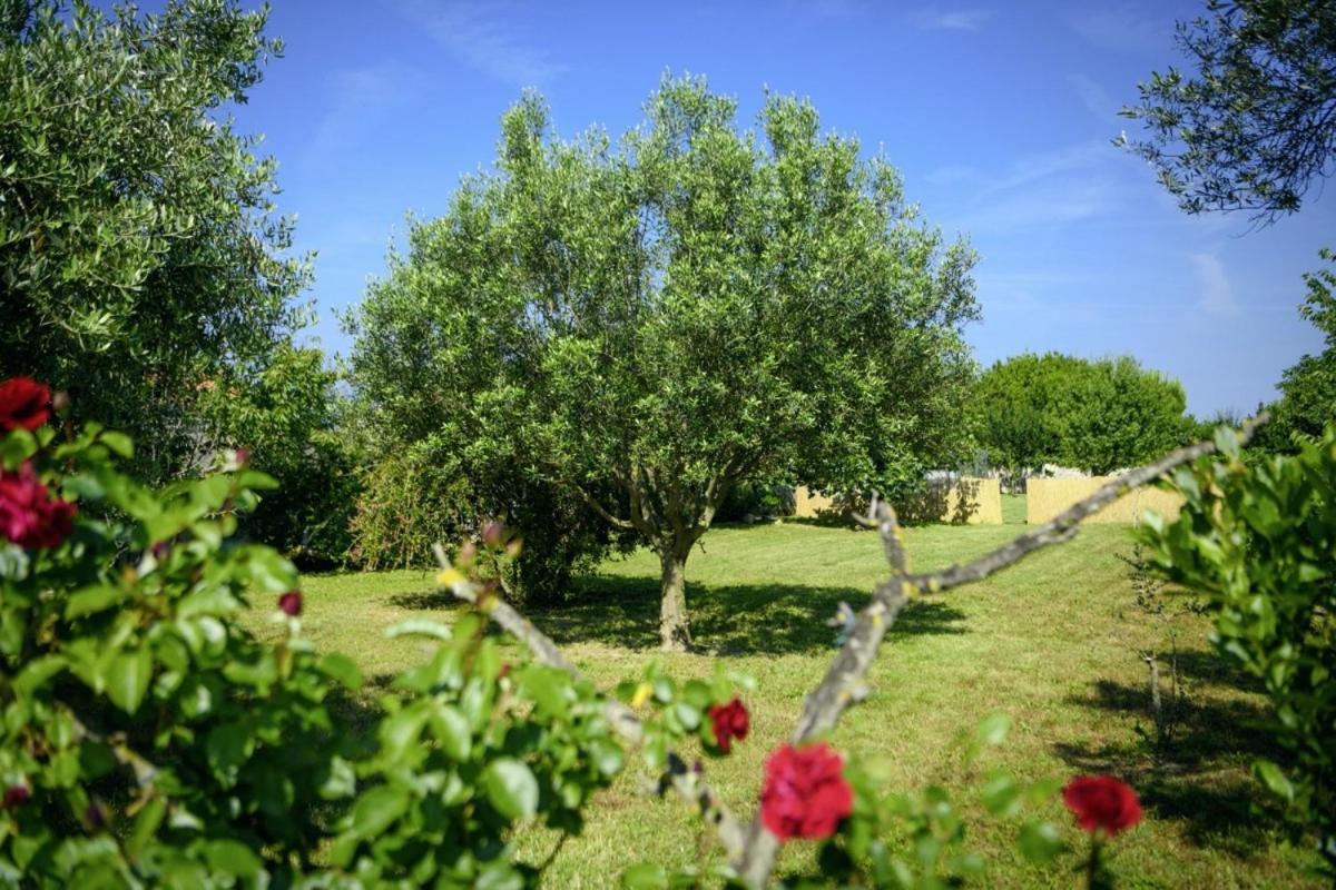 Istria Rosa In - Istrien Gasthof Pula